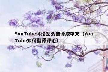 YouTube评论怎么翻译成中文（YouTube如何翻译评论）