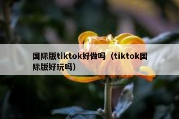 国际版tiktok好做吗（tiktok国际版好玩吗）