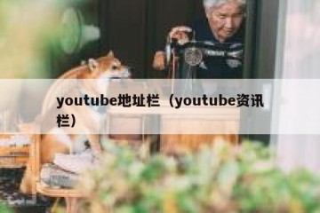 youtube地址栏（youtube资讯栏）