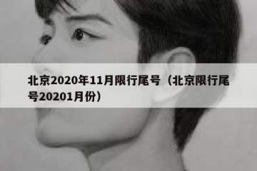 北京2020年11月限行尾号（北京限行尾号20201月份）