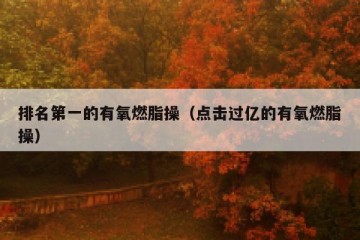 排名第一的有氧燃脂操（点击过亿的有氧燃脂操）