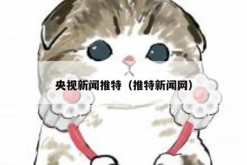 央视新闻推特（推特新闻网）
