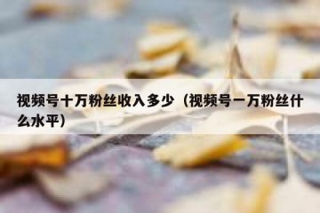 视频号十万粉丝收入多少（视频号一万粉丝什么水平）