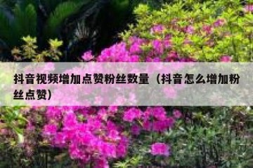抖音视频增加点赞粉丝数量（抖音怎么增加粉丝点赞）
