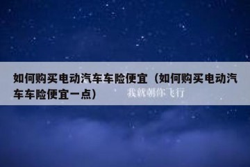 如何购买电动汽车车险便宜（如何购买电动汽车车险便宜一点）