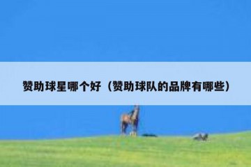 赞助球星哪个好（赞助球队的品牌有哪些）