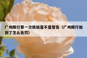 广州限行第一次抓拍是不是警告（广州限行拍到了怎么处罚）
