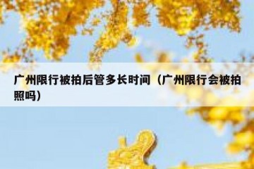 广州限行被拍后管多长时间（广州限行会被拍照吗）