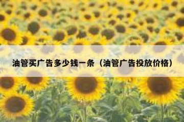 油管买广告多少钱一条（油管广告投放价格）