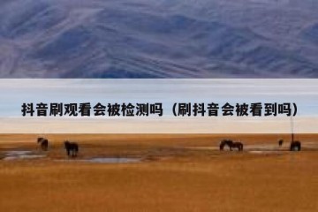抖音刷观看会被检测吗（刷抖音会被看到吗）