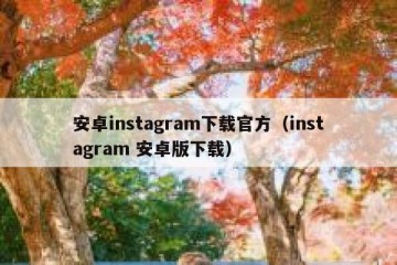 安卓instagram下载官方（instagram 安卓版下载）