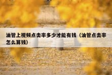 油管上视频点击率多少才能有钱（油管点击率怎么算钱）