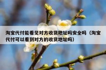 淘宝代付能看见对方收货地址吗安全吗（淘宝代付可以看到对方的收货地址吗）