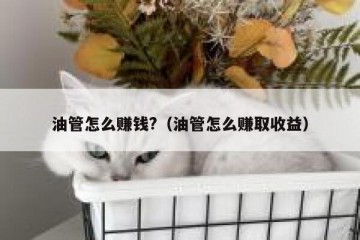 油管怎么赚钱?（油管怎么赚取收益）