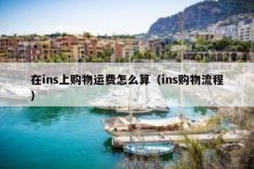 在ins上购物运费怎么算（ins购物流程）