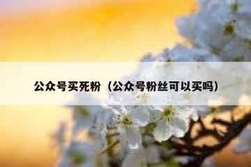 公众号买死粉（公众号粉丝可以买吗）