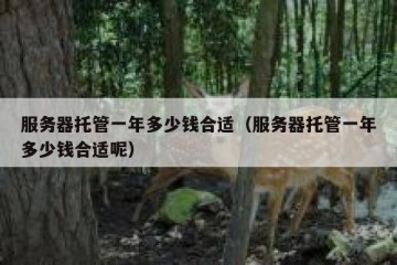 服务器托管一年多少钱合适（服务器托管一年多少钱合适呢）