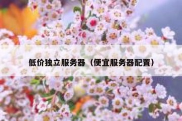 低价独立服务器（便宜服务器配置）