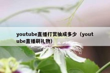 youtube直播打赏抽成多少（youtube直播刷礼物）