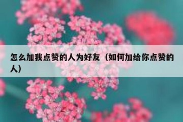 怎么加我点赞的人为好友（如何加给你点赞的人）