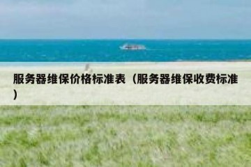 服务器维保价格标准表（服务器维保收费标准）