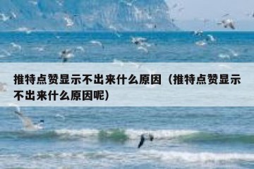 推特点赞显示不出来什么原因（推特点赞显示不出来什么原因呢）