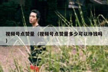 视频号点赞量（视频号点赞量多少可以挣钱吗）