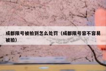 成都限号被拍到怎么处罚（成都限号容不容易被拍）