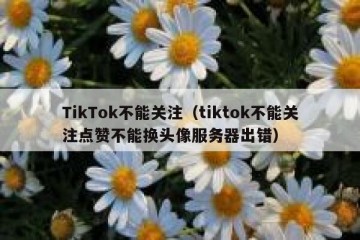 TikTok不能关注（tiktok不能关注点赞不能换头像服务器出错）