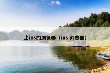 上ins的浏览器（ins 浏览器）