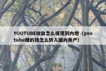 YOUTUBE收益怎么提现到内地（youtube赚的钱怎么转入国内账户）