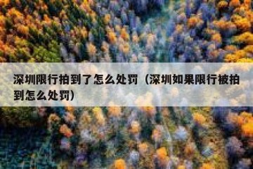 深圳限行拍到了怎么处罚（深圳如果限行被拍到怎么处罚）