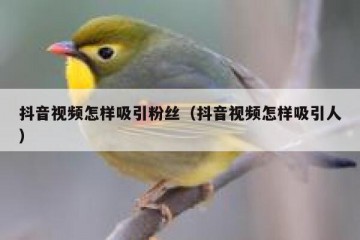 抖音视频怎样吸引粉丝（抖音视频怎样吸引人）
