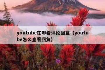 youtube在哪看评论回复（youtube怎么查看回复）