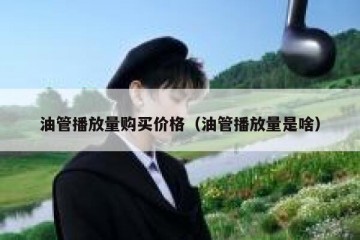 油管播放量购买价格（油管播放量是啥）