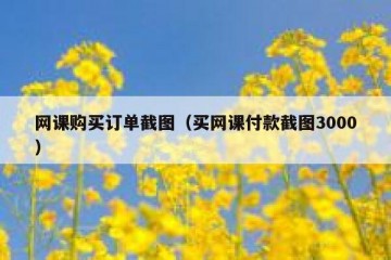 网课购买订单截图（买网课付款截图3000）