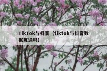 TikTok与抖音（tiktok与抖音数据互通吗）