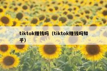 tiktok赚钱吗（tiktok赚钱吗知乎）