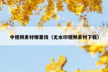 中视频素材哪里找（无水印视频素材下载）