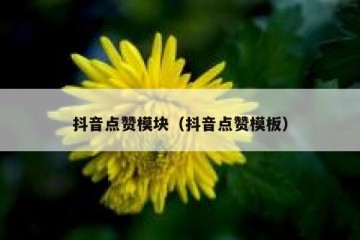 抖音点赞模块（抖音点赞模板）