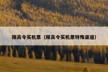 限高令买机票（限高令买机票特殊渠道）