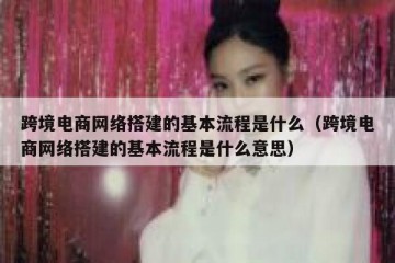 跨境电商网络搭建的基本流程是什么(跨境电商网络搭建的基本流程是什么意思)