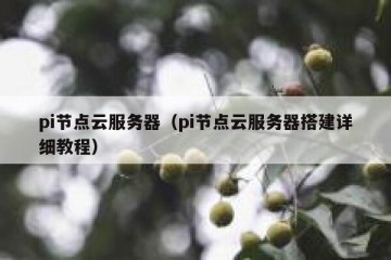 pi节点云服务器（pi节点云服务器搭建详细教程）