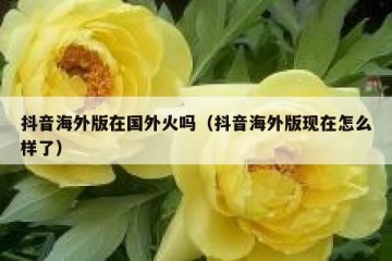 抖音海外版在国外火吗（抖音海外版现在怎么样了）
