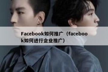 Facebook如何推广（facebook如何进行企业推广）