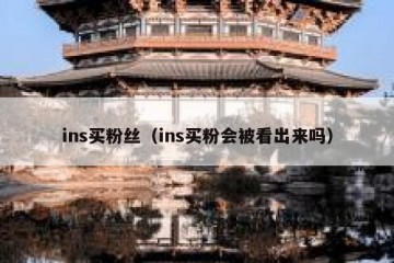 ins买粉丝（ins买粉会被看出来吗）