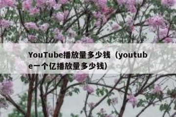 YouTube播放量多少钱（youtube一个亿播放量多少钱）