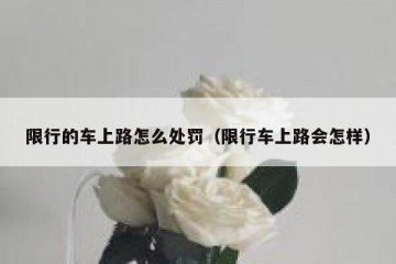 限行的车上路怎么处罚（限行车上路会怎样）