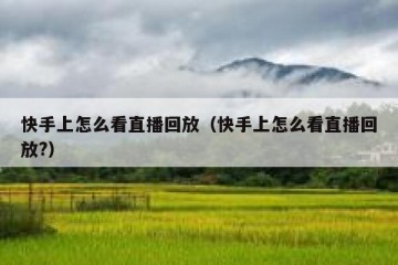 快手上怎么看直播回放（快手上怎么看直播回放?）