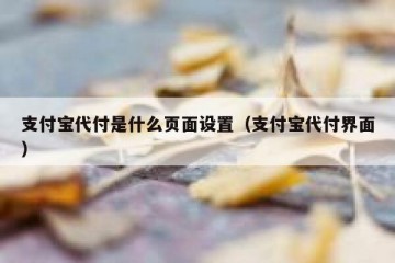 支付宝代付是什么页面设置（支付宝代付界面）